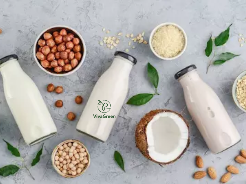 sữa hạt macca mix với gì tốt cho sức khỏe mỗi ngày