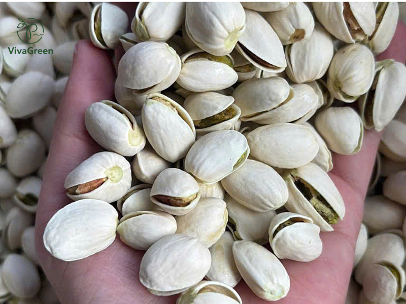 Hạt dẻ cười có tác dụng gì? Tìm hiểu lợi ích cho tim mạch, giảm cân, cùng tác hại và cách ăn đúng để tốt cho sức khỏe mỗi ngày.