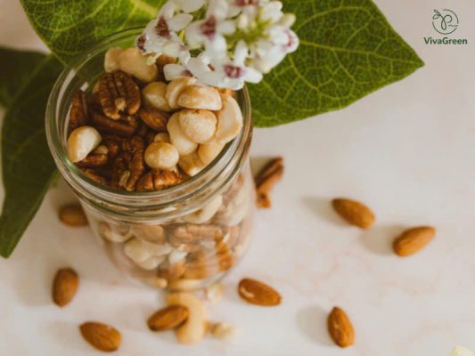 Hạt macca có tác dụng gì đối với sức khỏe