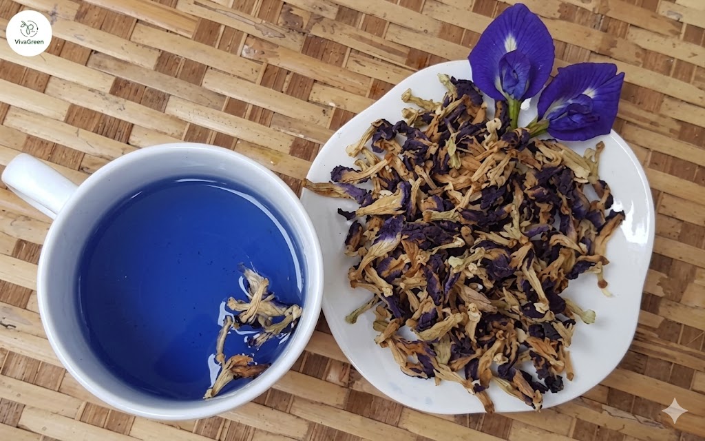 Hoa đậu biếc có tác dụng gì