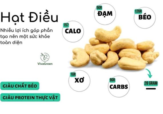 Bảng thành phần dinh dưỡng của hạt điều rang muối gồm protein, chất béo, vitamin và khoáng chất